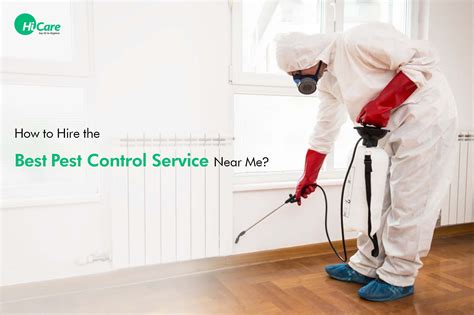 best pest control companies|best pest control companies near me.